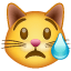 Huilende kat Whatsapp U+1F63F Huilende kat Whatsapp U+1F63F