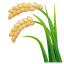 Rijstplant met pluim U+1F33E Rijstplant met pluim U+1F33E