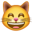 Grijnzende kat Facebook U+1F638 Grijnzende kat Facebook U+1F638
