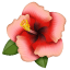 Hibiscus emoji U+1F33A Hibiscus emoji U+1F33A
