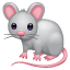 Witte muis Whatsapp U+1F401 Witte muis Whatsapp U+1F401