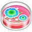 Petrischaal emoji U+1F9EB Petrischaal emoji U+1F9EB