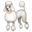 Poedel emoji U+1F429 Poedel emoji U+1F429