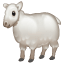 Schaap Whatsapp U+1F411 Schaap Whatsapp U+1F411