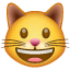 Lachende kat emoji U+1F63A Lachende kat emoji U+1F63A