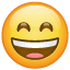 smiling-face-with-open-mouth-and-smiling-eyes_1f604.png