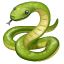 Slang emoji U+1F40D Slang emoji U+1F40D