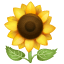 Zonnebloem emoji U+1F33B Zonnebloem emoji U+1F33B