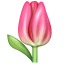 Tulp emoji U+1F337 Tulp emoji U+1F337