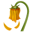 Verwelkte bloem Whatsapp U+1F940 Verwelkte bloem Whatsapp U+1F940